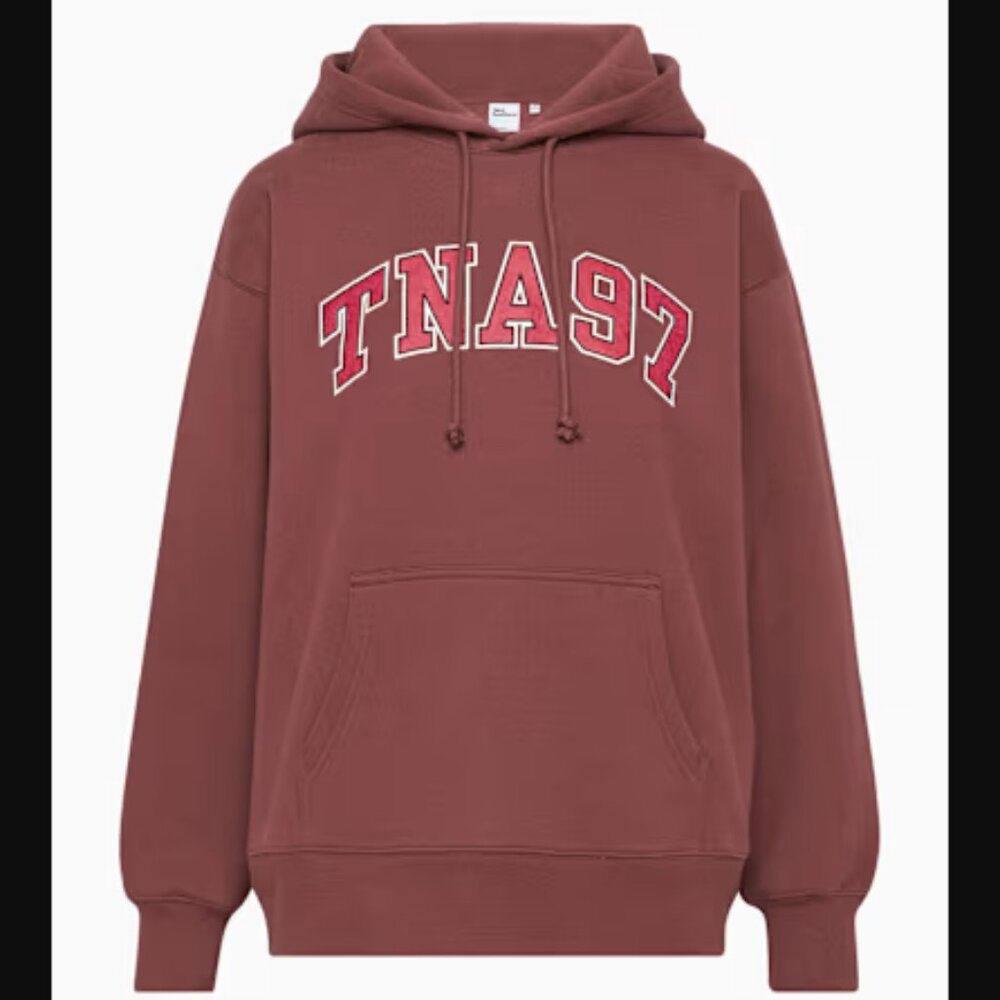Aritzia Cozy Fleece Boyfriend Hoodie